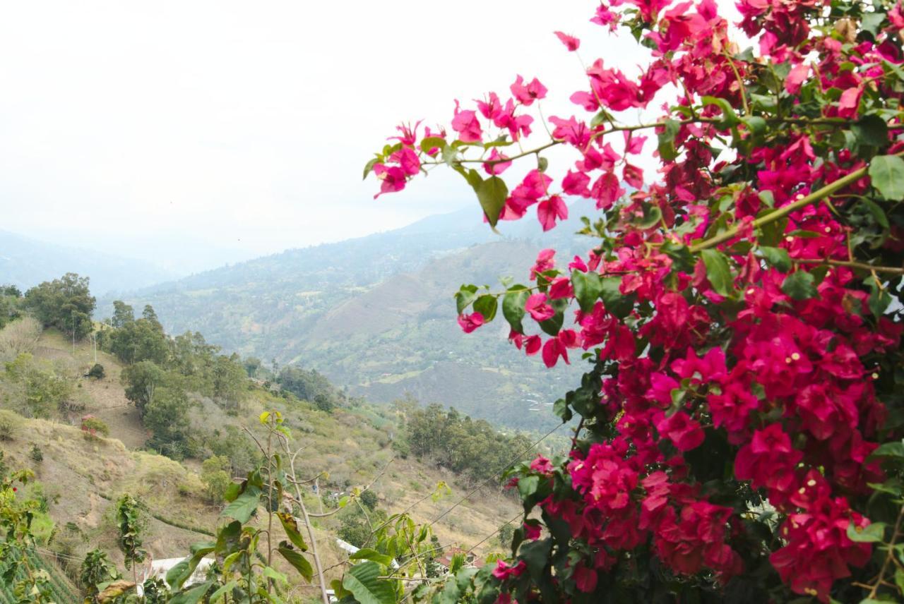 Finca Umnisa - Чоачи Экстерьер фото