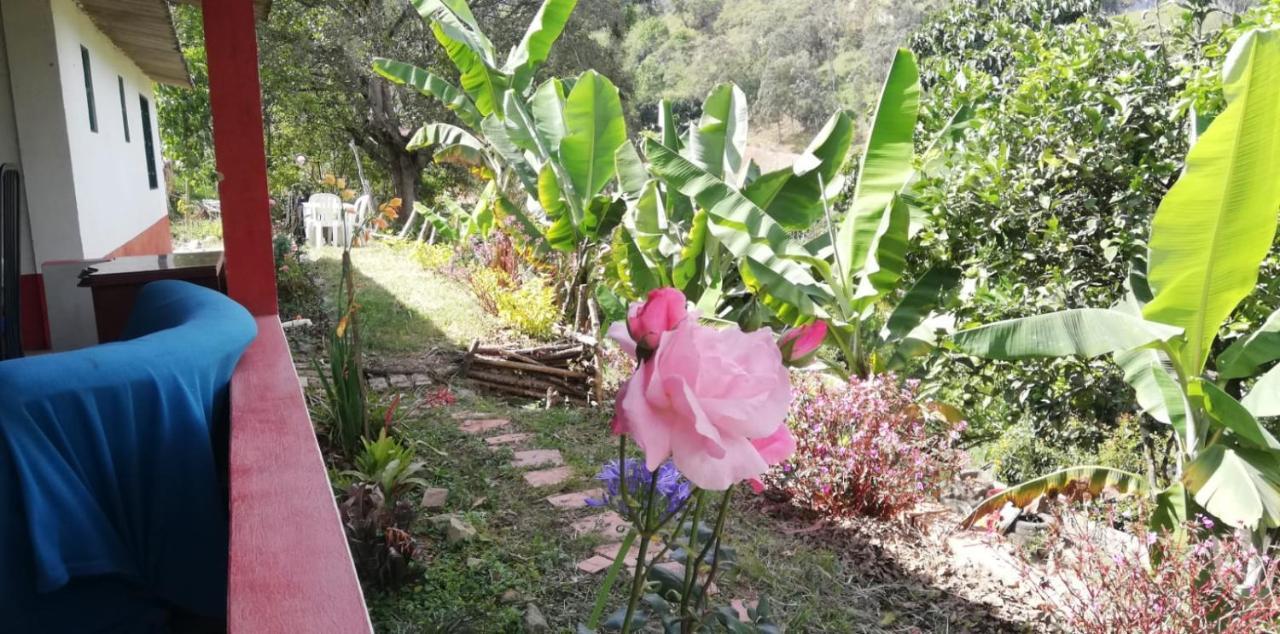 Finca Umnisa - Чоачи Экстерьер фото
