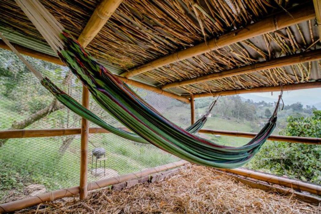 Finca Umnisa - Чоачи Экстерьер фото